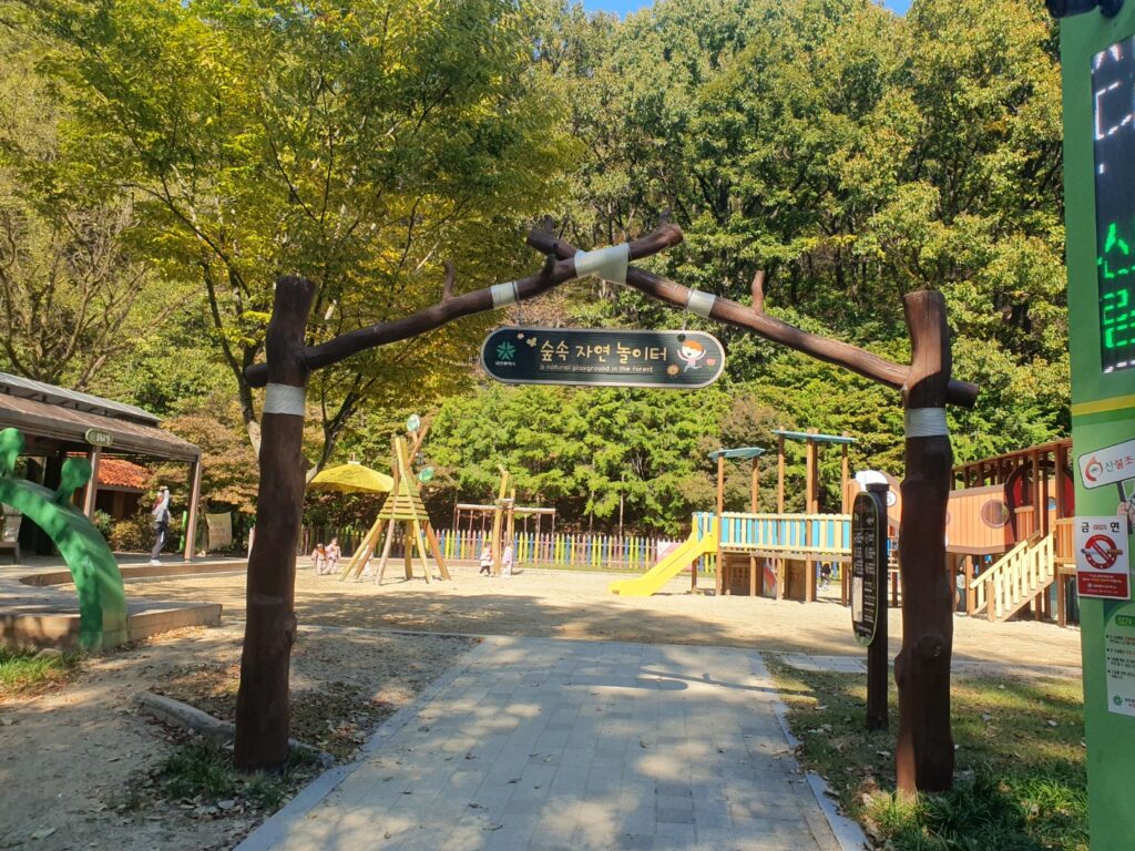 대전 사정공원 – 돈 안 들고 즐기는 가을 힐링 피크닉 명소