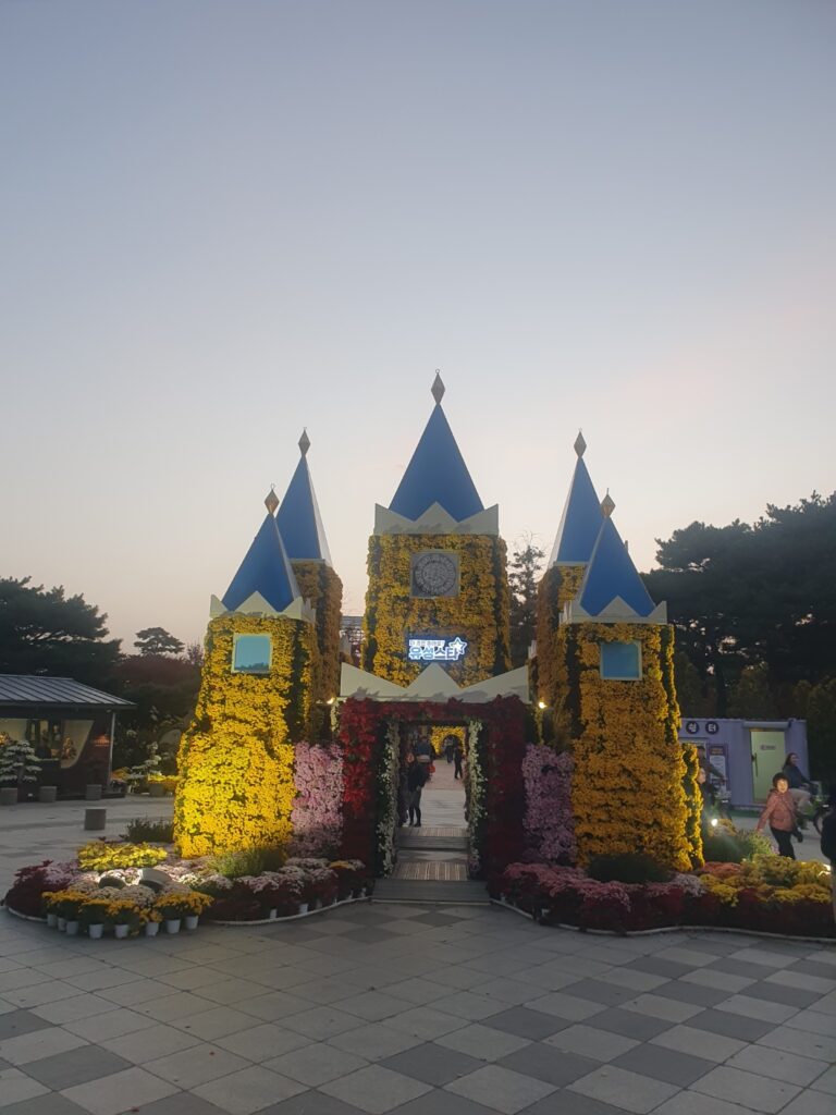 2025 유성 국화 축제 🌼 공짜 데이트 맛집 코스 완벽 정리!
