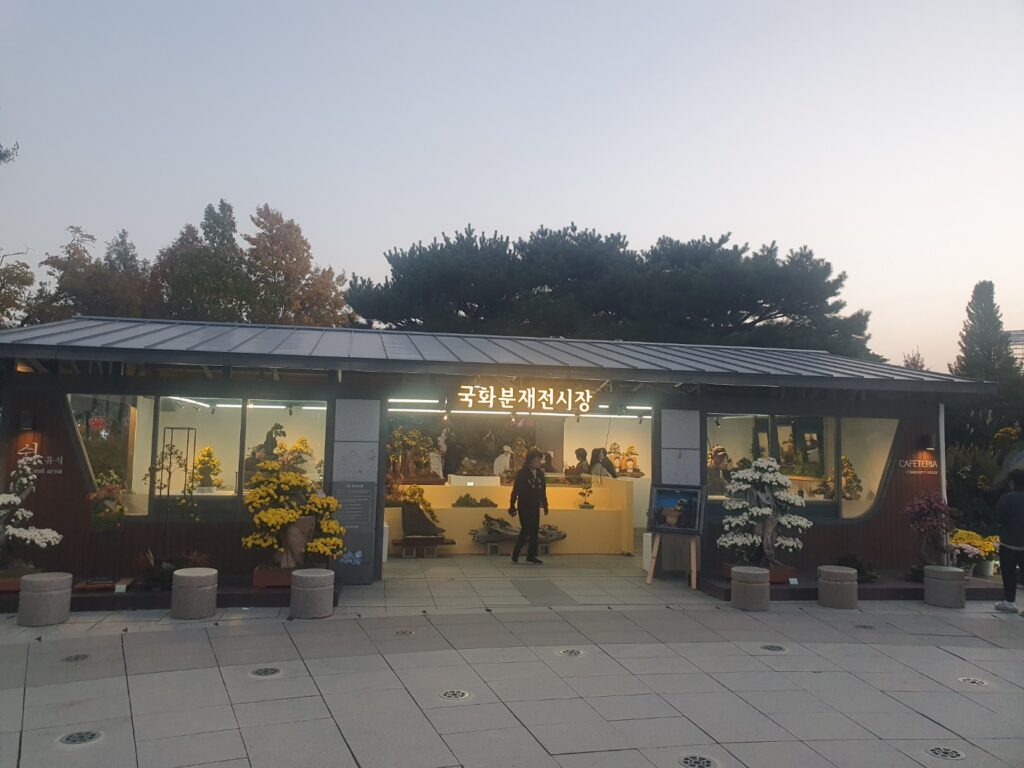 2025 유성 국화 축제 🌼 공짜 데이트 맛집 코스 완벽 정리!