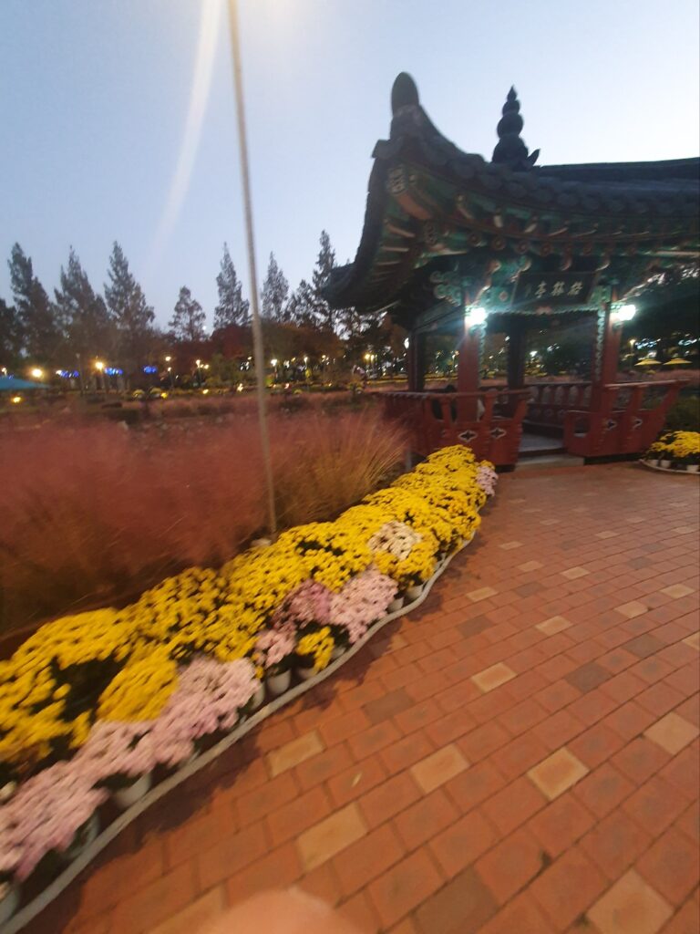 2025 유성 국화 축제 🌼 공짜 데이트 맛집 코스 완벽 정리!
