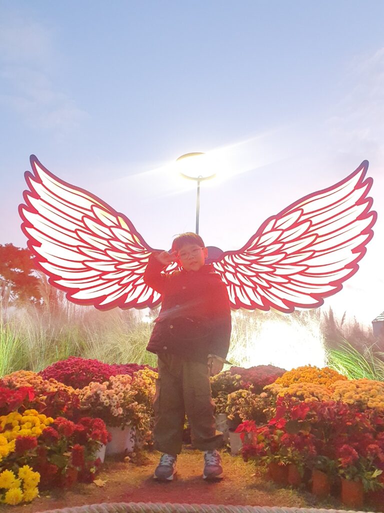 2025 유성 국화 축제 🌼 공짜 데이트 맛집 코스 완벽 정리!