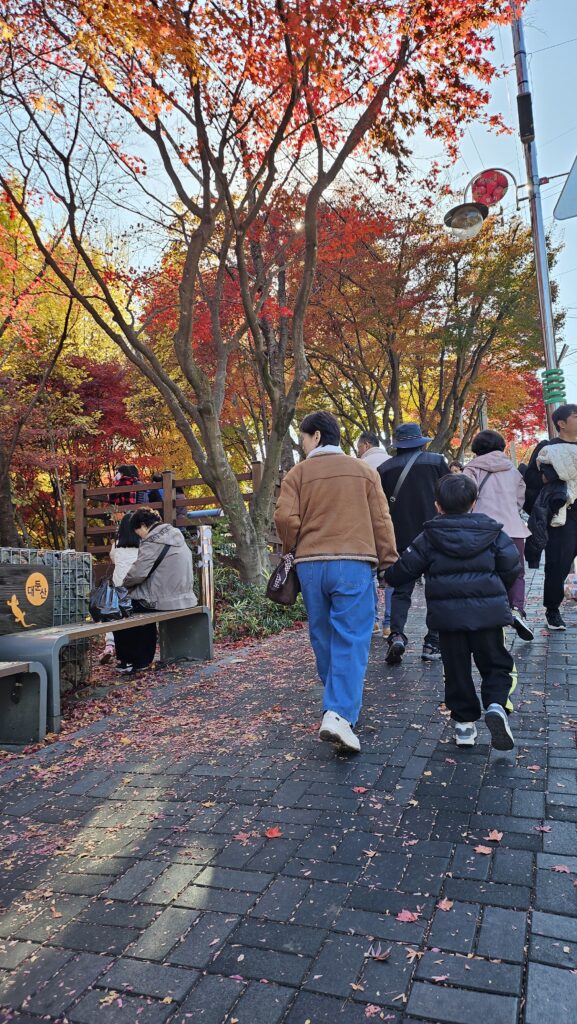 대둔산 단풍 절경의 매력