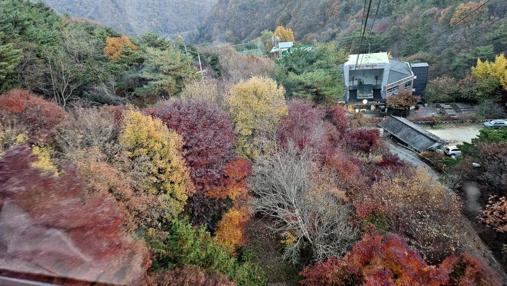대둔산 케이블카 —
단풍 절경을 한눈에 담다