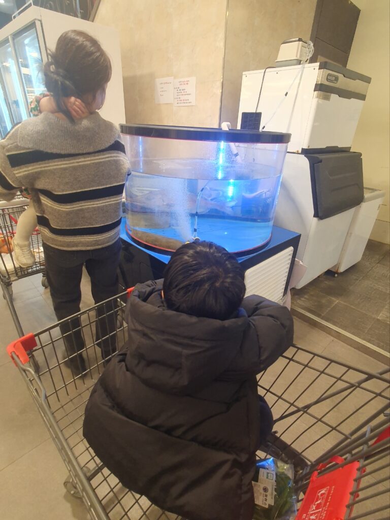 “산지직송의 메카 관저동 파머스 내부 전경과 신선한 농산물 진열 모습”