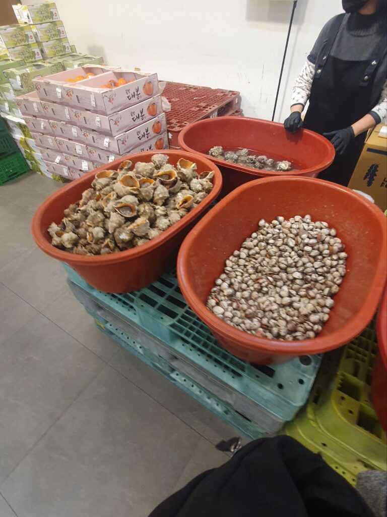 “산지직송의 메카 관저동 파머스 내부 전경과 신선한 농산물 진열 모습”