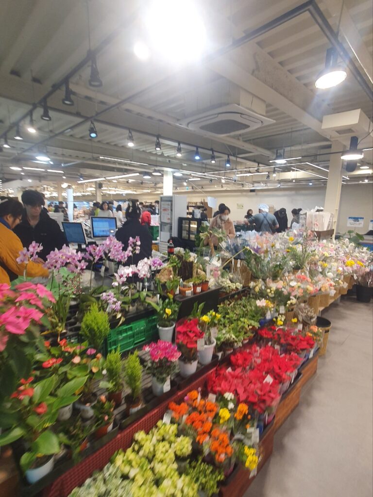 “산지직송의 메카 관저동 파머스 내부 전경과 신선한 농산물 진열 모습”