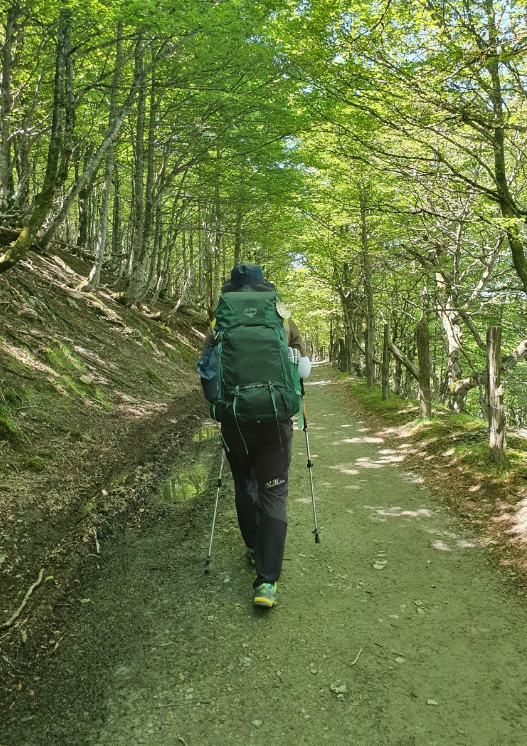 산티아고 스페인 순례길